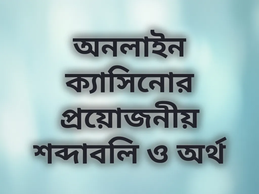 ক্যাসিনো টার্মস